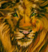 Tattoos - MATA LEAO ! - 23581